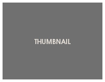 轰炸电话在线下单